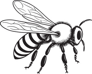 Beautiful Bee Drawing in Modern Black Vector Line Art Detailed Bee Vector Icon Featuring Artistic Black Design