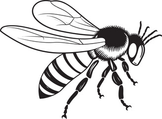 Modern Bee Vector Logo with Refined Black Line Elements Beautiful Bee Illustration Featuring Smooth Black Outlines