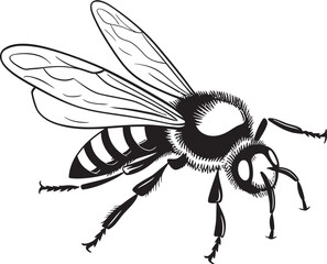 Stylish Bee Drawing Featuring Clean Black Vector Lines Modern Bee Illustration with Detailed Black Linework