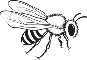 Sophisticated Bee Illustration with Clean Black Line Art Stylish Bee Vector Icon Featuring Artistic Black Lines
