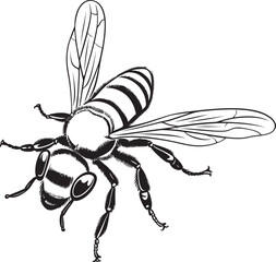 Stylish Bee Vector Icon Featuring Artistic Black Lines Modern Bee Drawing with Elegant Black Vector Details