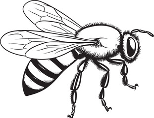 Graceful Bee Illustration with Flowing Black Linework Artistic Bee Drawing Featuring Sophisticated Black Elements