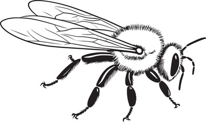 Stylish Black Bee Logo Design with Clean Vector Linework Modern Bee Illustration in Refined Black Vector Drawing