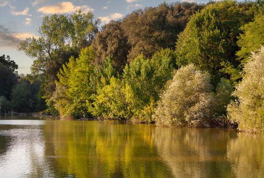 Relaxing scene at Villa Pamphili, Rome, with lush foliage and reflective water