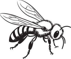 Sophisticated Black Bee Design in Bold Vector Line Art Beautiful Bee Vector Drawing Featuring Modern Black Lines