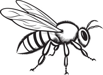 Graceful Bee Illustration Featuring Flowing Black Vector Art Elegant Black Bee Vector Drawing with Artistic Line Elements