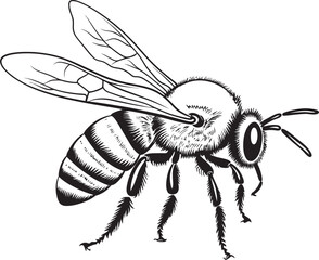 Graceful Black Bee Vector Logo with Flowing Line Details Detailed Bee Drawing in Artistic Black Vector Design
