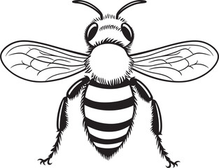 Graceful Bee Vector Icon Featuring Smooth Black Line Art Modern Bee Drawing with Clean Black Vector Line Details