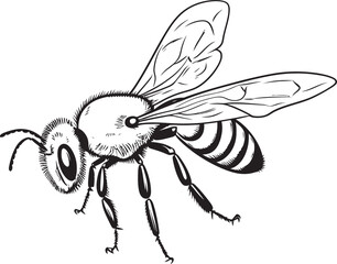 Sophisticated Black Bee Vector Drawing with Flowing Lines Stylish Bee Logo Featuring Modern Black Vector Elements