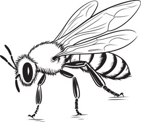 Elegant Bee Vector Icon Featuring Flowing Black Lines Modern Bee Drawing in Sophisticated Black Vector Design