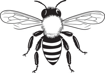 Detailed Bee Drawing Featuring Clean Black Vector Line Art Graceful Bee Illustration in Artistic Black Vector Style
