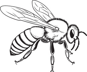 Modern Bee Icon Featuring Sophisticated Black Vector Elements Artistic Bee Drawing in Elegant Black Vector Line Design