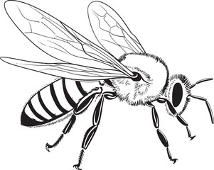Artistic Bee Drawing in Elegant Black Vector Line Design Stylish Black Bee Vector Logo Featuring Clean Linework