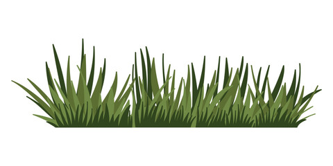 Fragments of green grass. A set of isolated bundles of grass.
