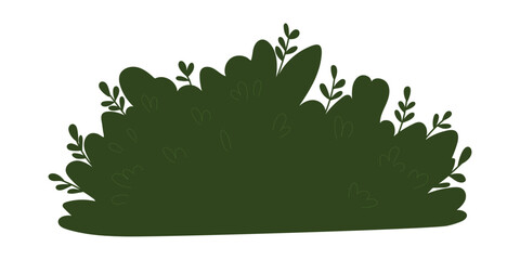 Decorative green plants in the form of garden shrubs, seasonal shrubs. To decorate a park, garden or green hedge.