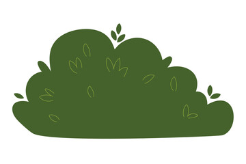 Decorative green plants in the form of garden shrubs, seasonal shrubs. To decorate a park, garden or green hedge.