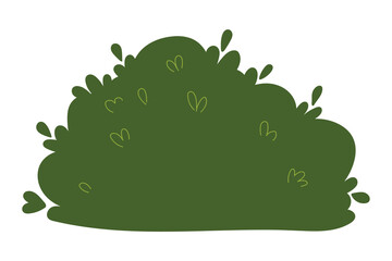 Decorative green plants in the form of garden shrubs, seasonal shrubs. To decorate a park, garden or green hedge.