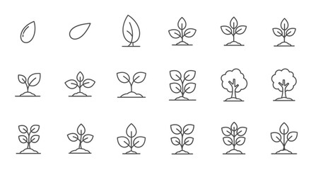 Plant Growth Stages Seed to Tree - Line Icons Set