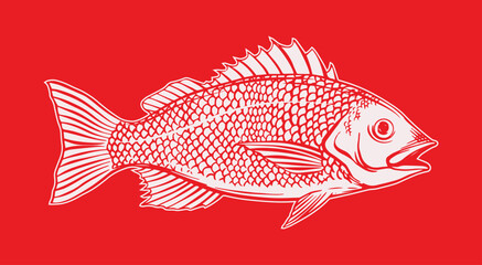 Red snapper fish illustration for fish and seafood themed design purposes, product labels, food menus and printing purposes.