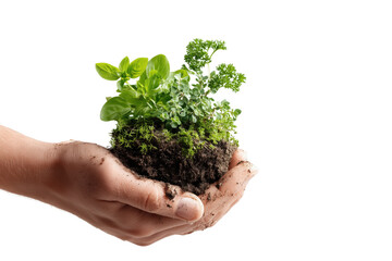 A hand holding a small cluster of green plants with soil, symbolizing growth and nurturing.