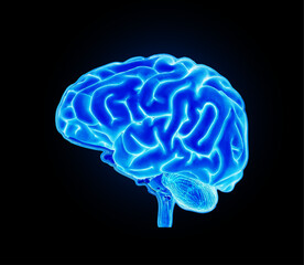 Brain xray blue on the black background.