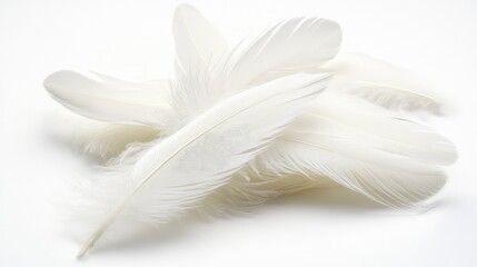 Obraz premium Close-up of white feathers overlapping on a white background with gentle lighting