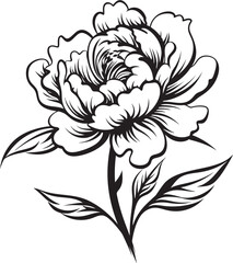 Petal Soft Peony Vector Art Design Peony Enchanted Shadows Black Logo
