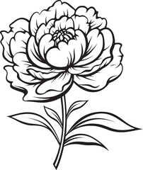 Peony Blossom Lines Black Vector Icon Graceful Peony Style Elegant Logo
