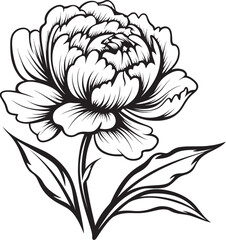 Peony Flourish Grace Black Logo Design Peony Petal Wonder Elegant Vector