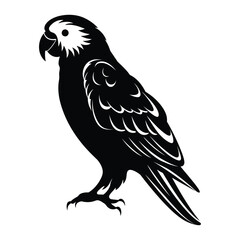 Obraz premium Parrot a simple minimal silhouette