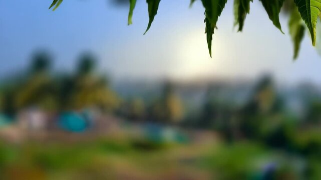 Hanging sumac leaves with blurred green foliage, blue sky and light sunlight through leaves in outdoor setting, creating peaceful natural image