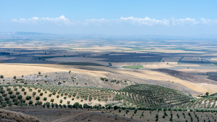 farming fields at Hatay plain
