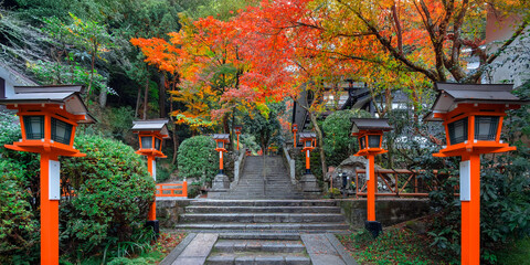 Kuramadera in a beautiful autumn scenery in Kyoto, Japan is a large temple complex spread across...