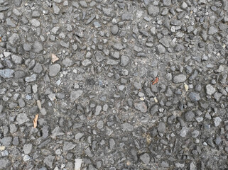 Asphalt Road Texture Close-Up for Background or Seamless Design