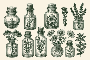 herbal glass bottles and plants vintage engraving vector illustration