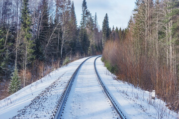 Railway track in the forest.