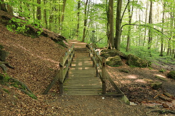Frühlingslandschaft an den Dörenther Klippen bei Ibbenbüren in Nordrhein-Westfalen	
