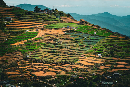 Terraced fields in Mt. Solis Atok Benguet, Philippines.