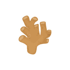 Obraz premium beautiful coral reef watercolor with many types and patterns. watercolor seaweed and corals isolated on white