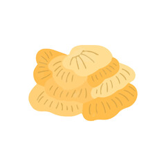 beautiful coral reef watercolor with many types and patterns. watercolor seaweed and corals isolated on white