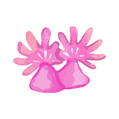 beautiful coral reef watercolor with many types and patterns. watercolor seaweed and corals isolated on white