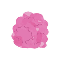 beautiful coral reef watercolor with many types and patterns. watercolor seaweed and corals isolated on white