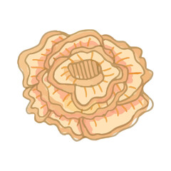 beautiful coral reef watercolor with many types and patterns. watercolor seaweed and corals isolated on white