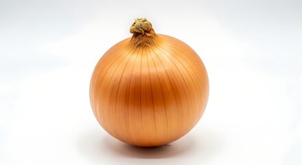 Fresh Organic Yellow Onion Vegetable Photography