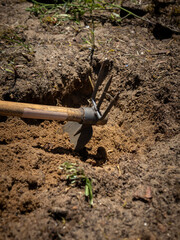  Close-up of a hoe tilling dry soil in a garden bed. The earth is being prepared for planting on a sunny day