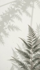 Calming Minimalist Fern Shadow Background Off-White Vertical Design with Text Space