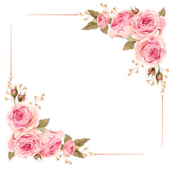 Hand-Drawn Botanical Flower Clipart – Transparent Background