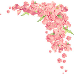 Hand-Drawn Botanical Flower Clipart – Transparent Background