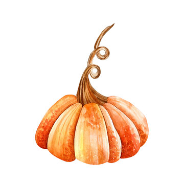 recommend clip art: Watercolor clip art. Orange pumpkin isolated on white background. Autumn illustration.