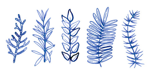 Watercolour hand drawn tropical leaves, brush line technique, blue leaves hand drawn.Ude as print, poster, element design, textile, fabric, sticker, tattoo, invitation, greeting card, package design.